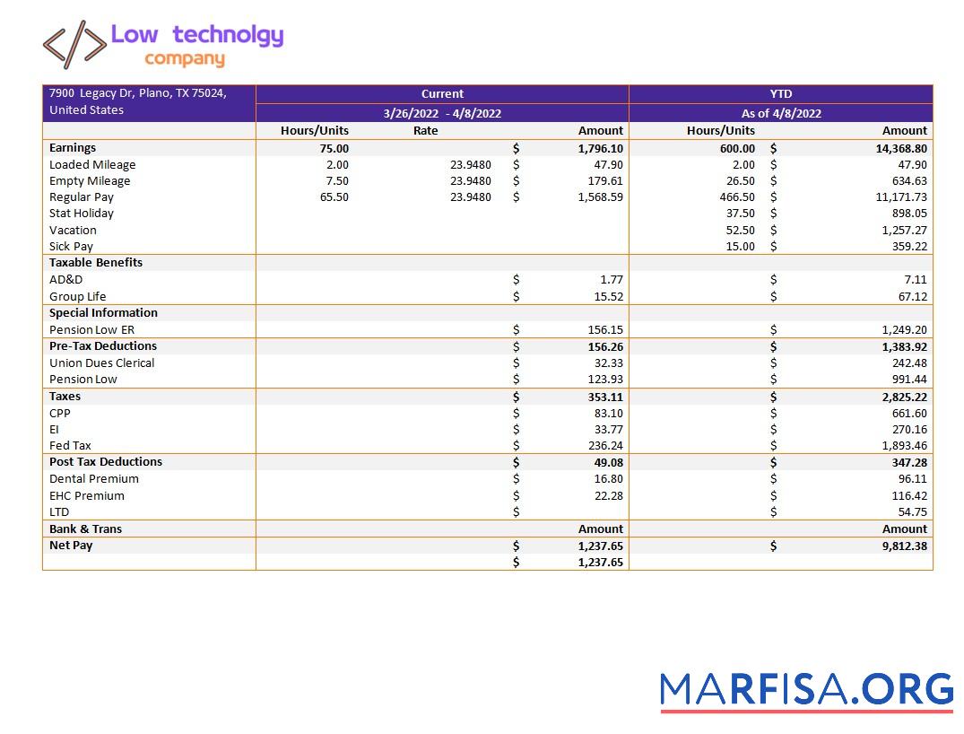 Blank Low technology company paystub example